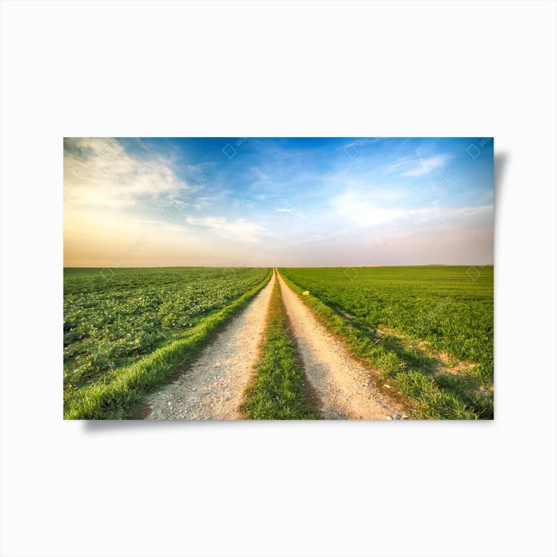 Plakat polna droga przez zielone pola – Wallissimo®