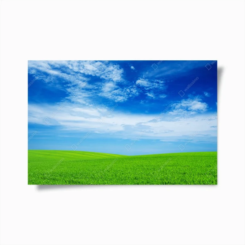 Plakat zielona łąka pod błękitnym niebem – Wallissimo®