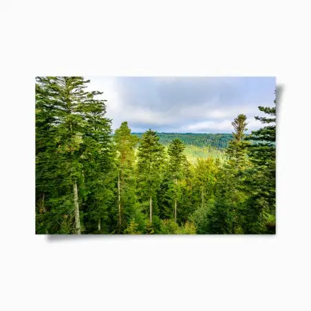Plakat Czarny Las jesienna panorama drzew – Wallissimo®