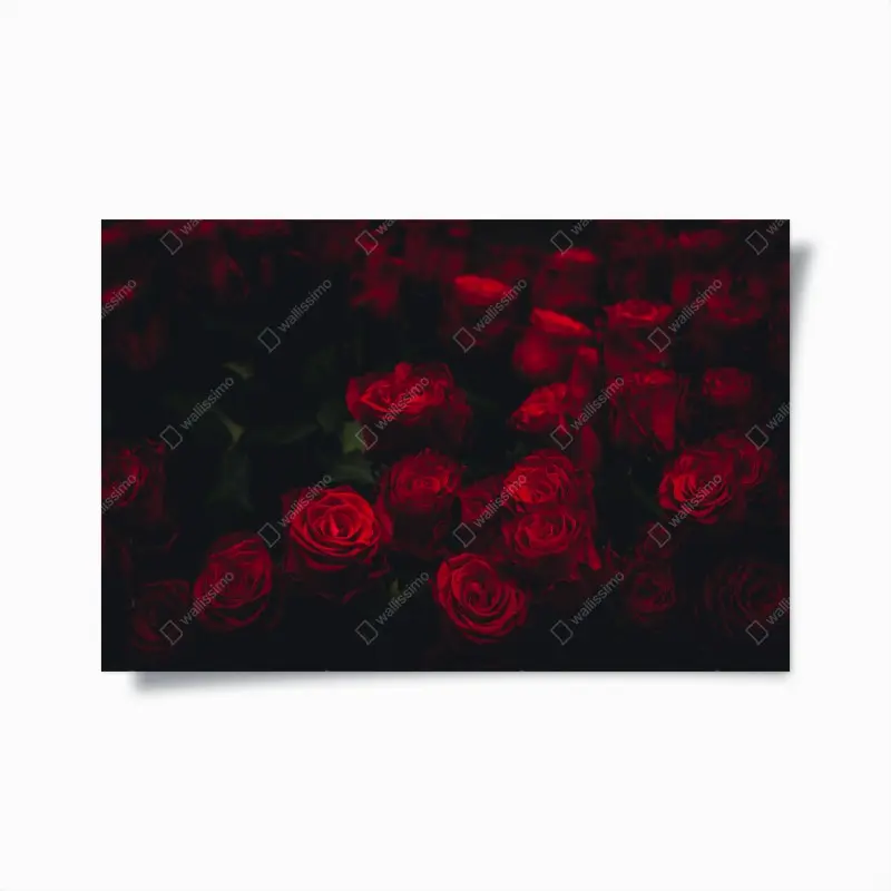Plakat bukiet czerwonych róż