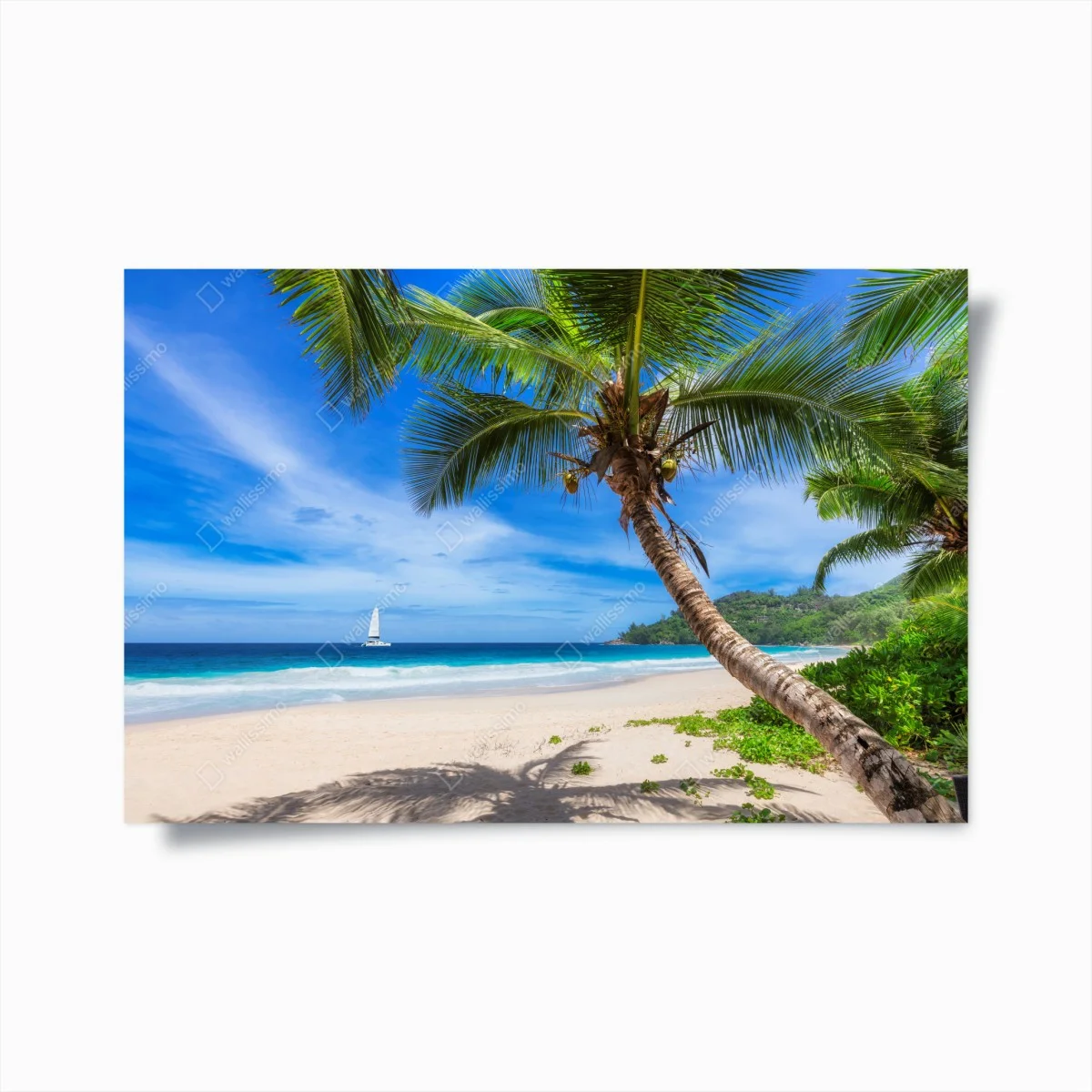 Plakat tropikalna plaża z palmą – Wallissimo® Plakat tropikalna plaża z palmą – Wallissimo®