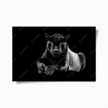 Plakat portret czarnej pantery na czarnym tle – Wallissimo®