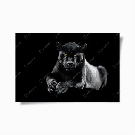 Plakat portret czarnej pantery na czarnym tle – Wallissimo®