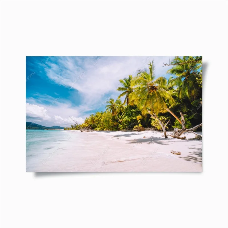 Plakat tropikalna plaża z palmami