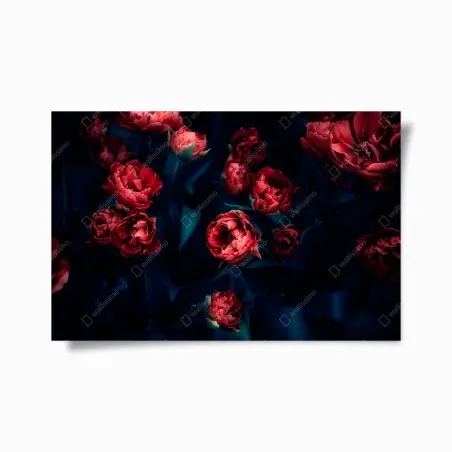 Plakat ponury bukiet czerwonych tulipanów – Wallissimo®