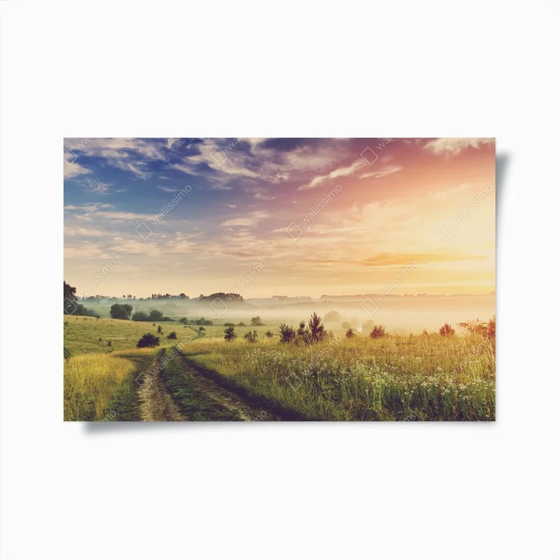 Plakat mglisty wschód słońca nad wiejską łąką