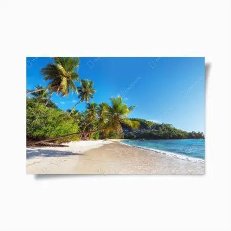 Plakat tropikalna plaża z palmami – Wallissimo®