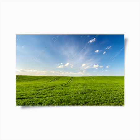 Plakat wiosenna zielona panorama łąki – Wallissimo®