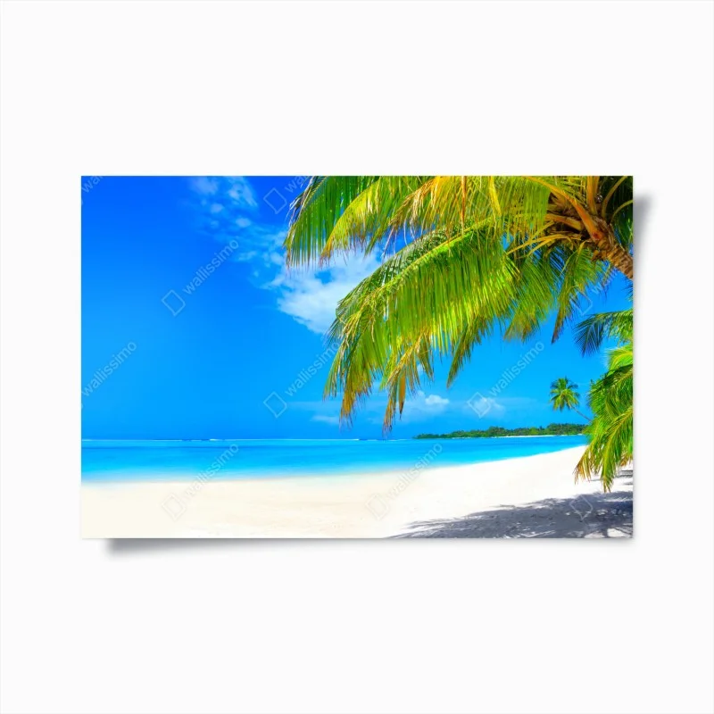Plakat tropikalna turkusowa plaża – Wallissimo®