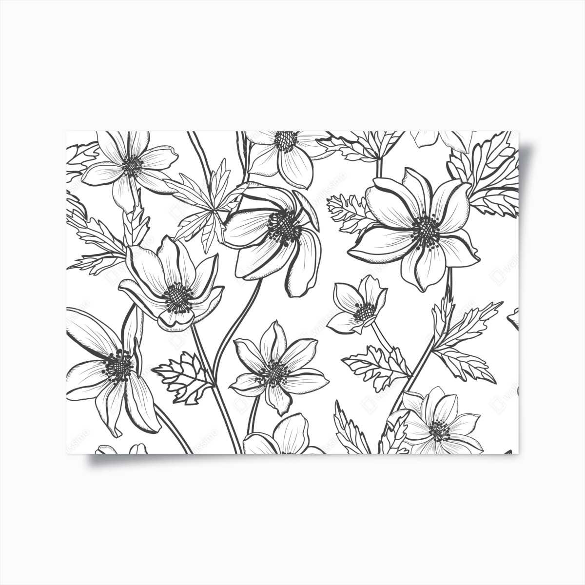Plakat botaniczny rysunek kwiatowy – Wallissimo®