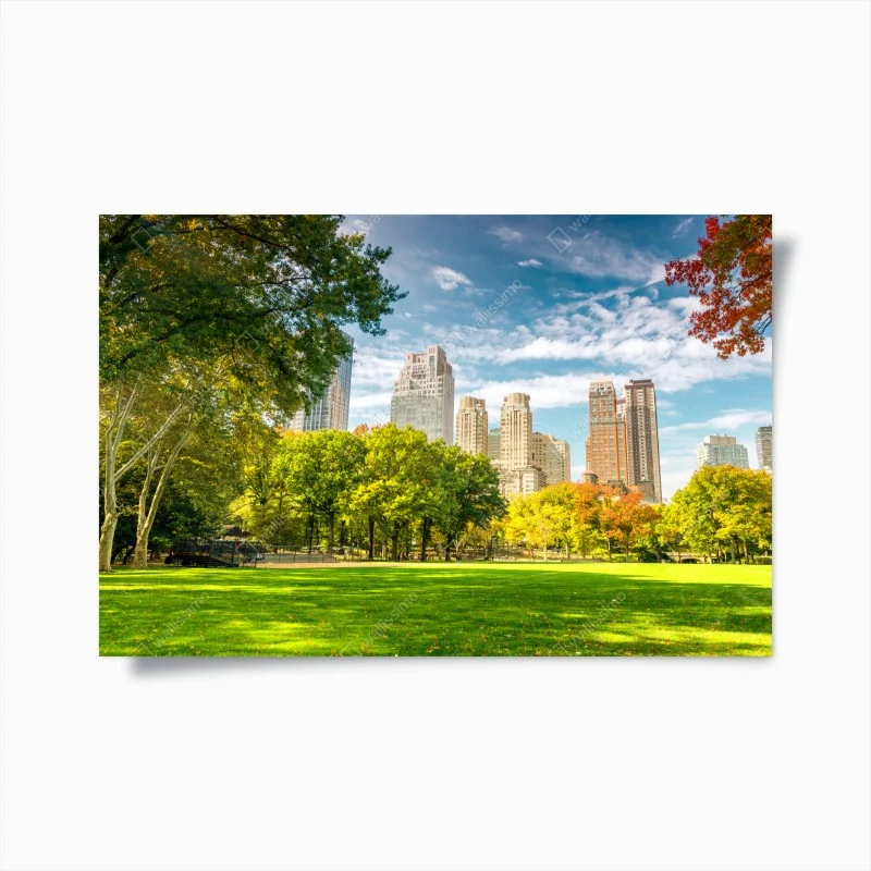 Plakat Central Park jesienna panorama