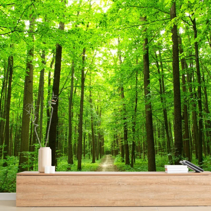Fototapeta spokojna leśna ścieżka – Wallissimo® Fototapeta spokojna leśna ścieżka – Wallissimo®