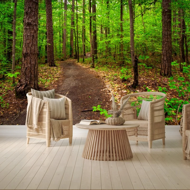 Fototapeta spokojna zielona ścieżka leśna – Wallissimo® Fototapeta spokojna zielona ścieżka leśna – Wallissimo®