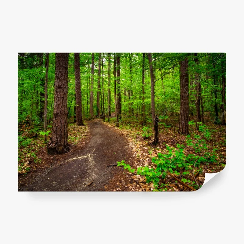 Fototapeta zielony wzór z warzywami – Wallissimo®