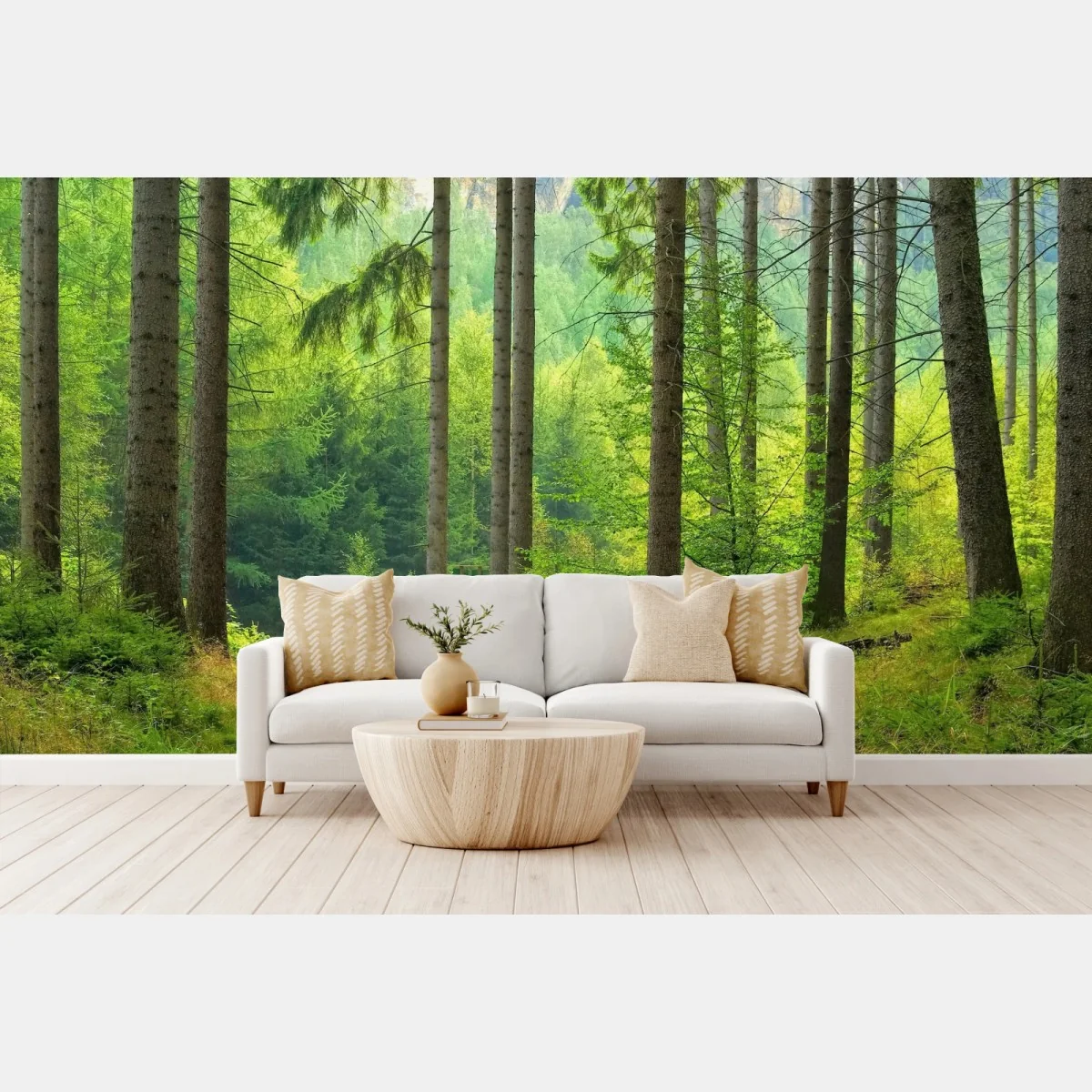 Fototapeta słoneczna ścieżka leśna – Wallissimo® Fototapeta słoneczna ścieżka leśna – Wallissimo®