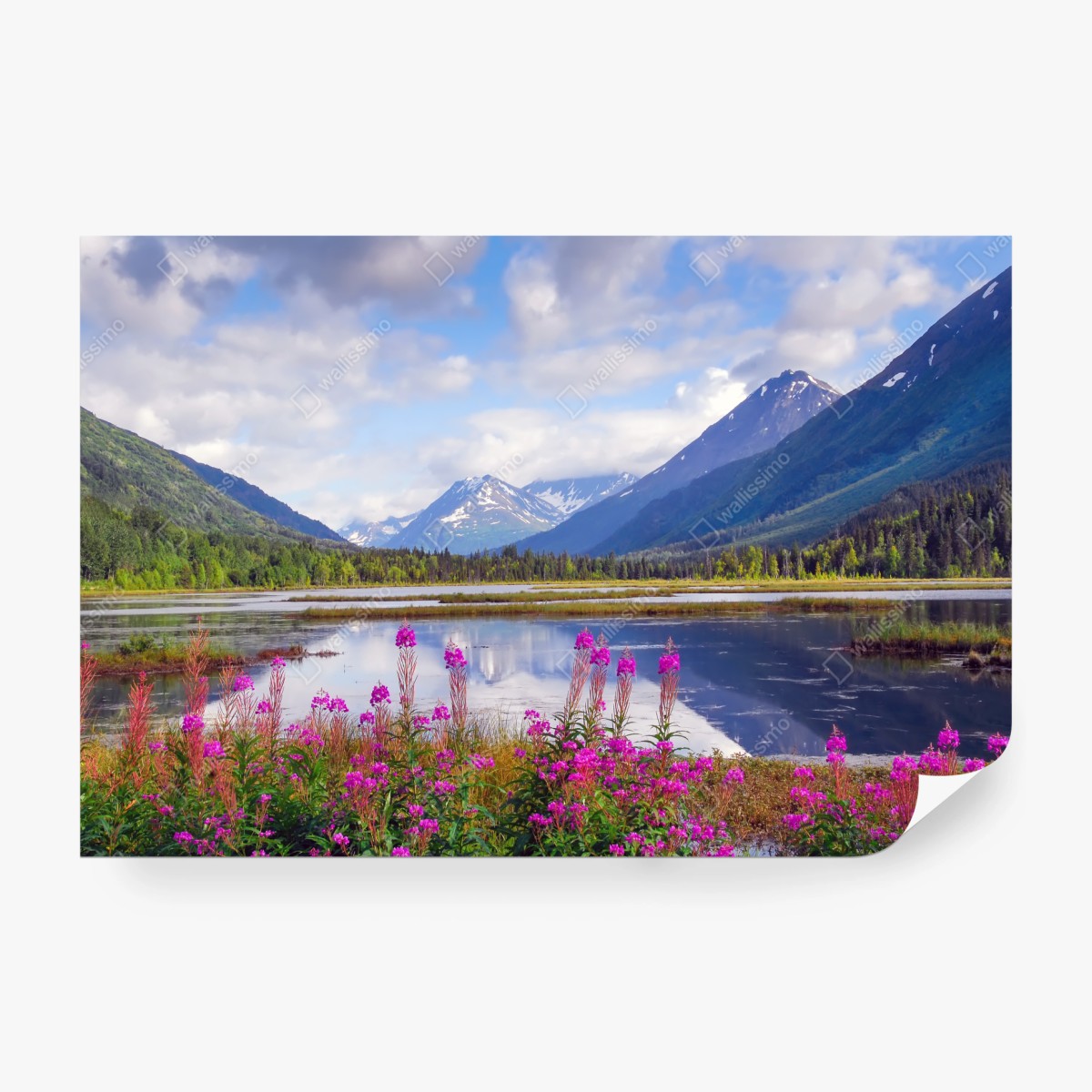 Fototapeta Tern Lake odbicia, krajobraz górski z Alaski – Wallissimo® Fototapeta Tern Lake odbicia, krajobraz górski z Alaski – Wallissimo®