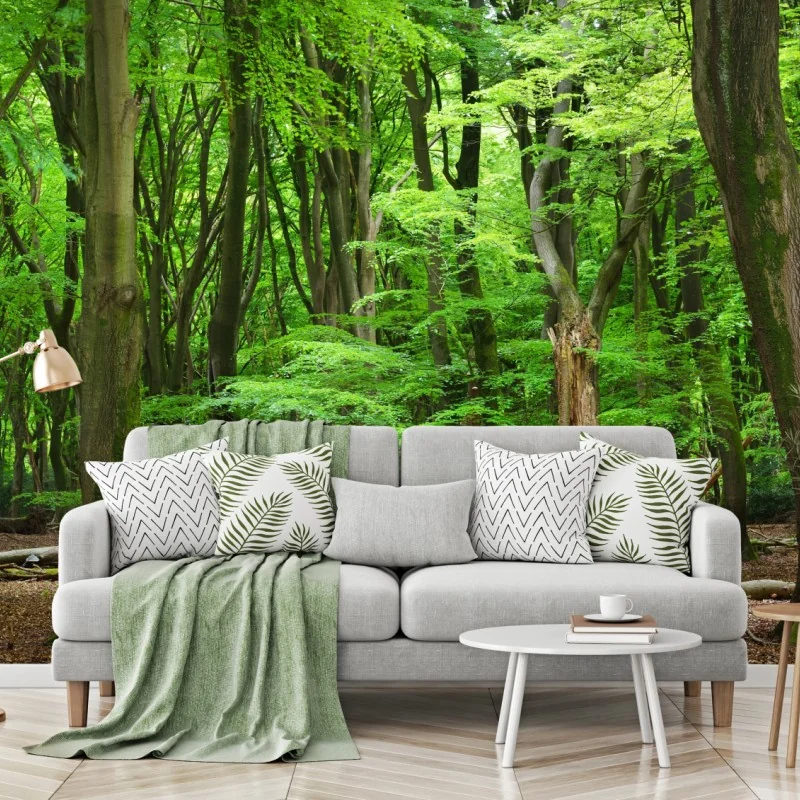 Fototapeta spokojna zielona korona lasu – Wallissimo® Fototapeta spokojna zielona korona lasu – Wallissimo®