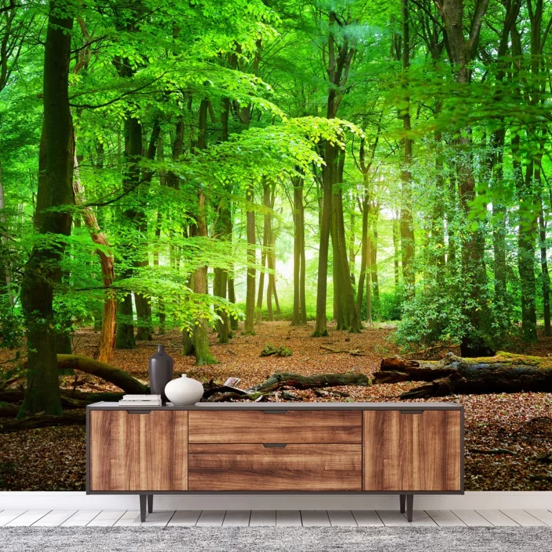 Fototapeta słoneczny zielony las – Wallissimo® Fototapeta słoneczny zielony las – Wallissimo®