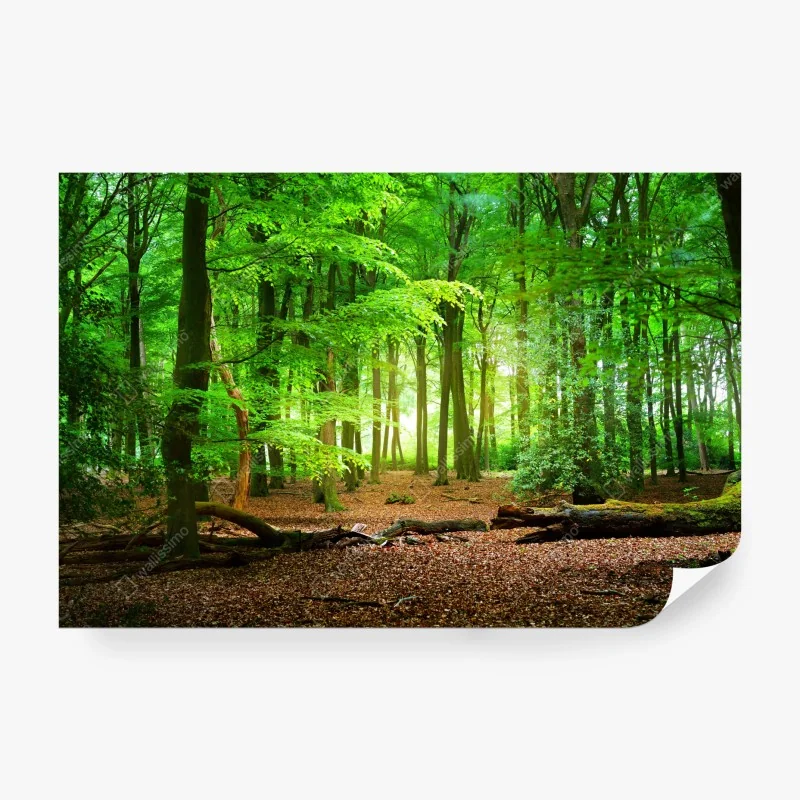 Fototapeta uspokajający wodospad w szmaragdowym lesie – Wallissimo®