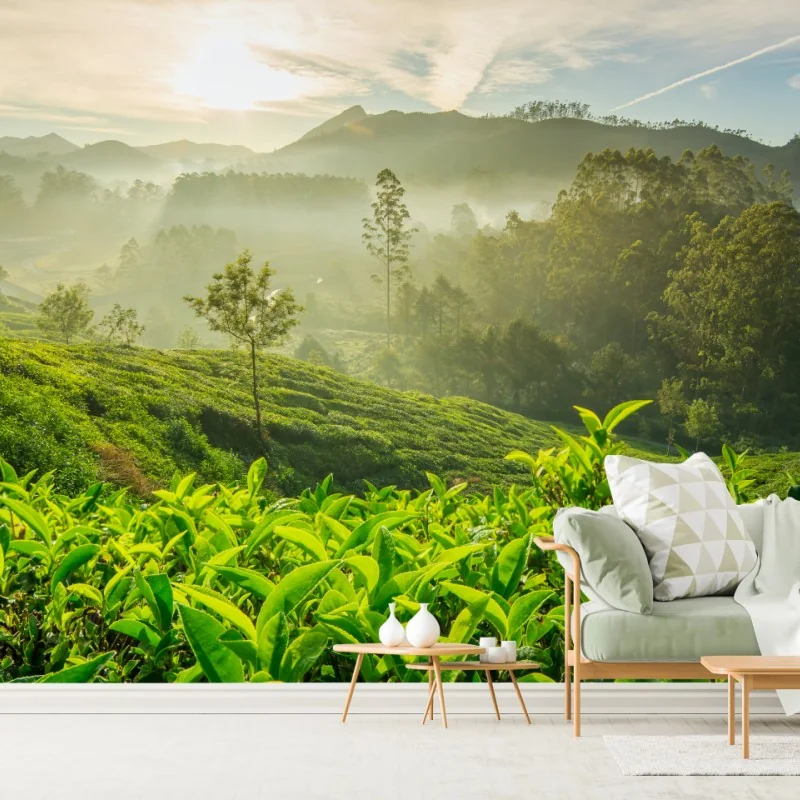 Fototapeta wschód słońca nad plantacjami herbaty w Munnar – Wallissimo® Fototapeta wschód słońca nad plantacjami herbaty w Munnar – Wallissimo®