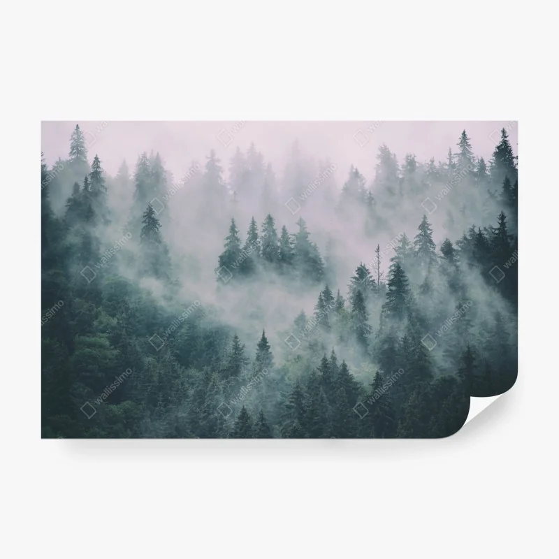 Fototapeta bujny wodospad w Mt Field National Park, Tasmania – Wallissimo®