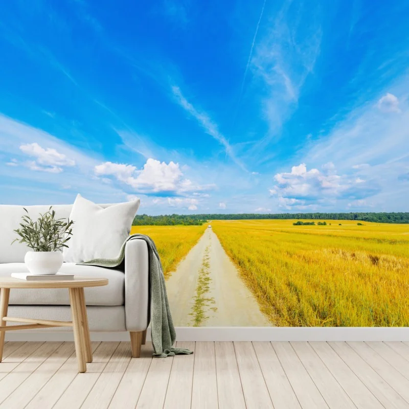 Fototapeta złote pole pod szerokim błękitnym niebem – Wallissimo® Fototapeta złote pole pod szerokim błękitnym niebem – Wallissimo®