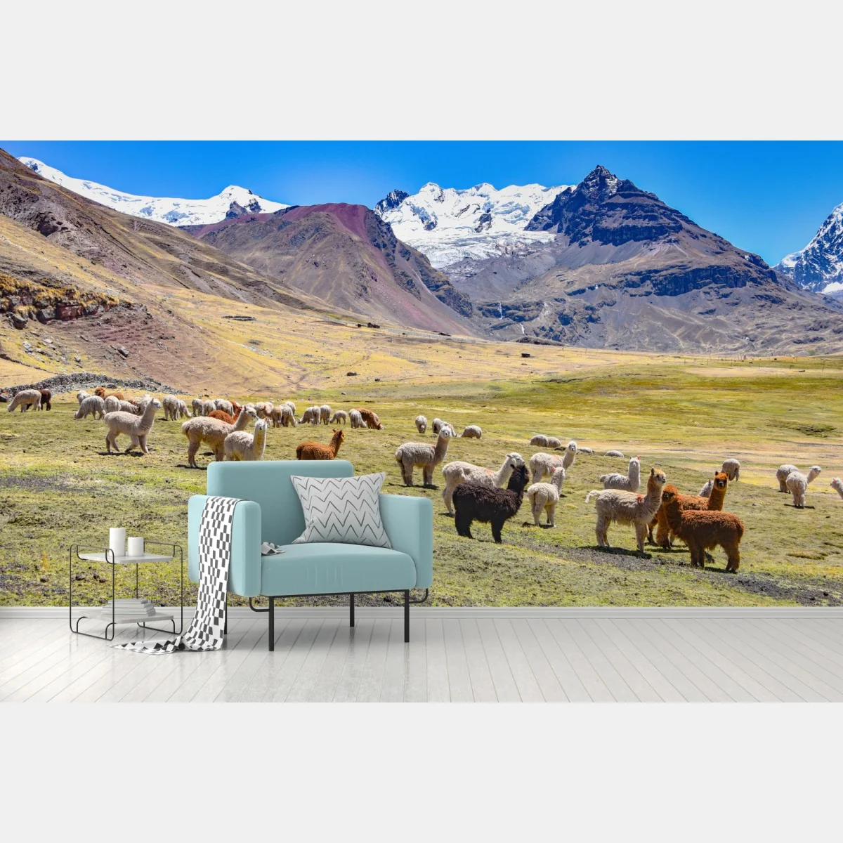 Fototapeta alpaki i lamy pasące się przy Mt Ausangate, Cusco – Wallissimo®