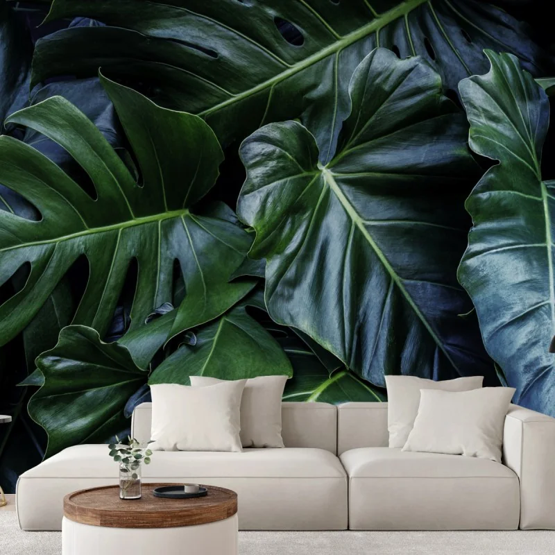 Fototapeta bujna tropikalna monstera – Wallissimo® Fototapeta bujna tropikalna monstera – Wallissimo®