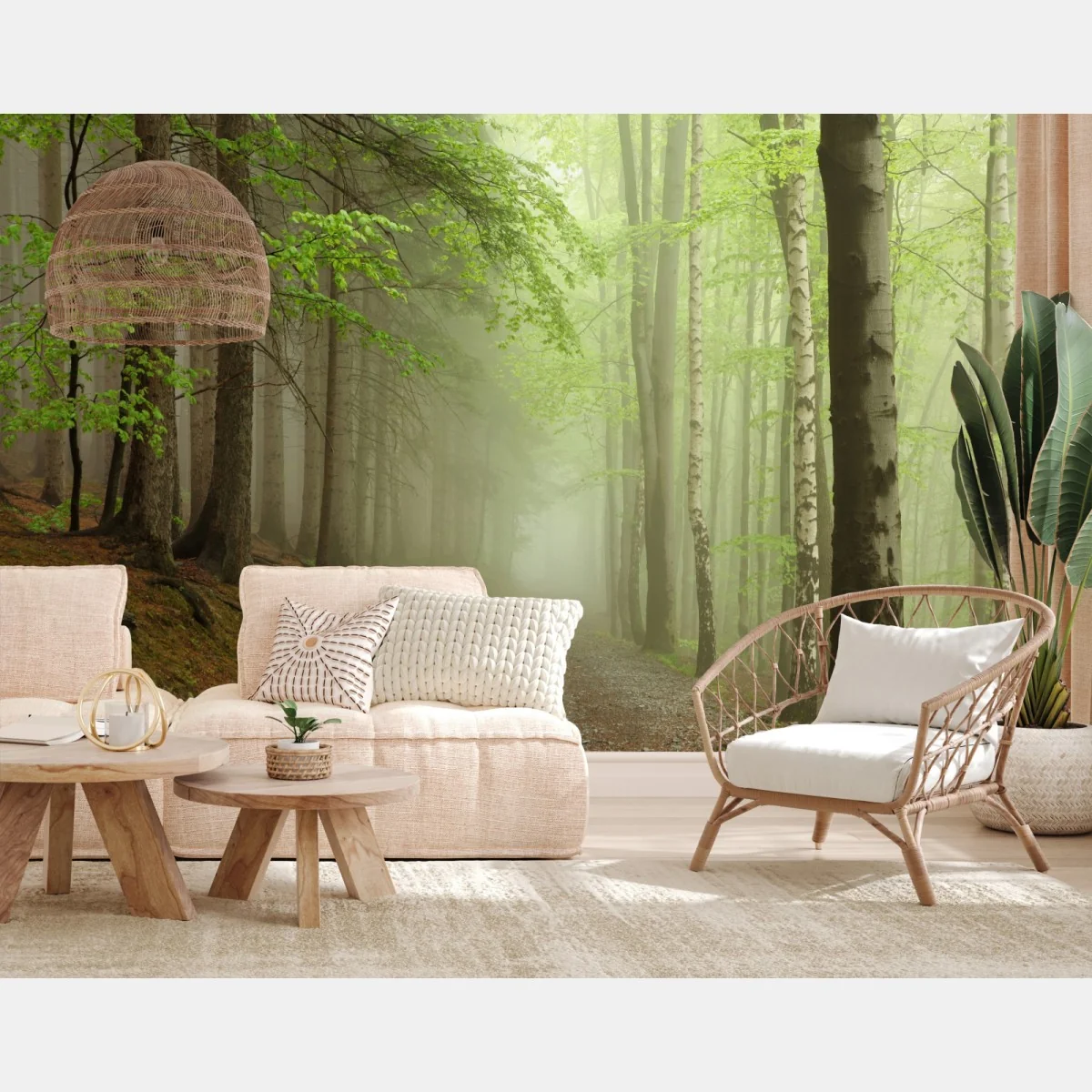 Fototapeta mglisty leśny szlak – Wallissimo® Fototapeta mglisty leśny szlak – Wallissimo®