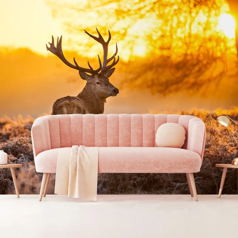 Fototapeta złoty jeleń o świcie – Wallissimo® Fototapeta złoty jeleń o świcie – Wallissimo®