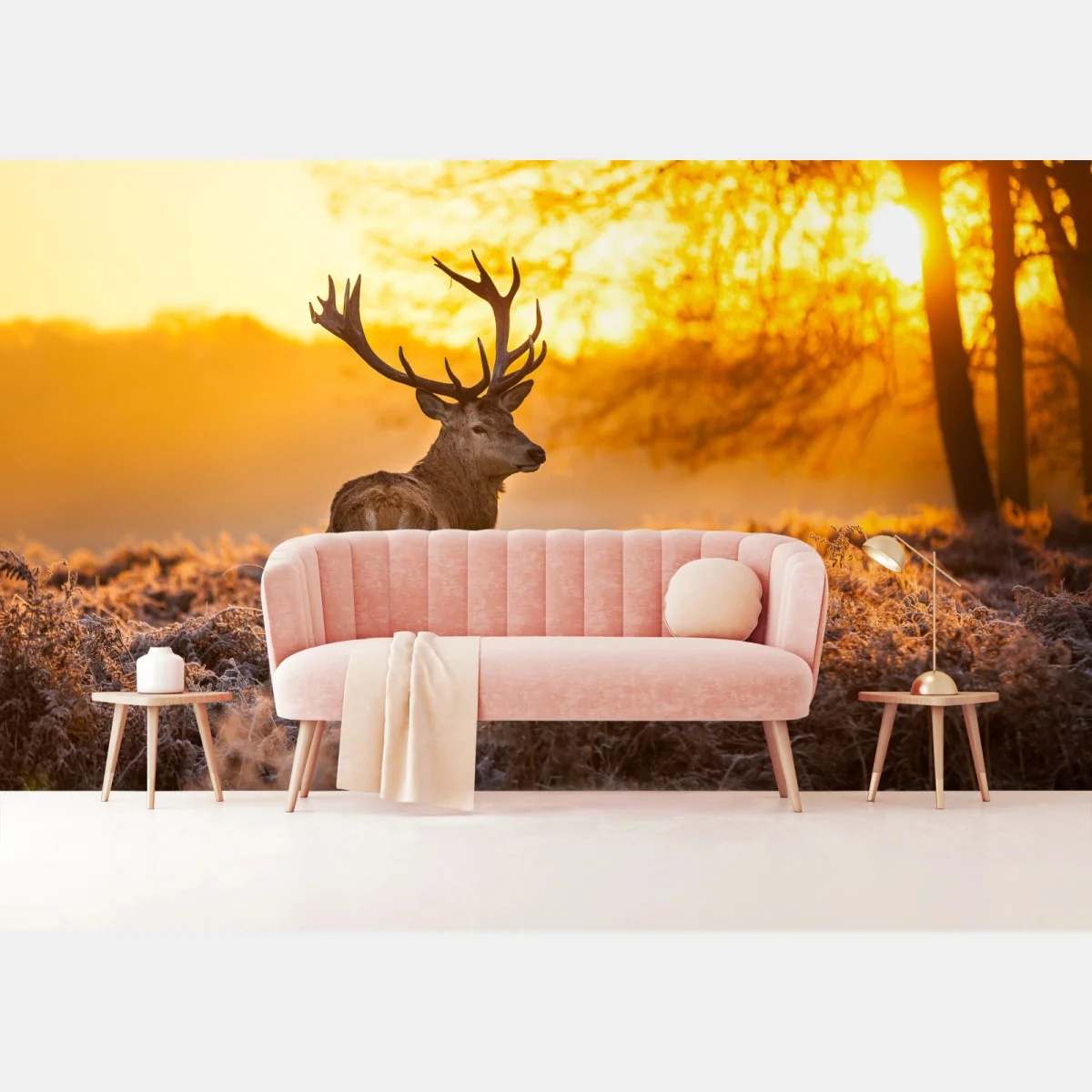 Fototapeta złoty jeleń o świcie – Wallissimo® Fototapeta złoty jeleń o świcie – Wallissimo®