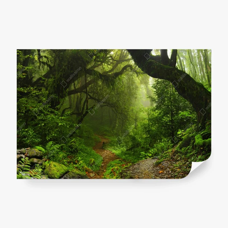 Fototapeta delikatny, liniowy wzór kwiatowy w odcieniach niebieskiego – Wallissimo®