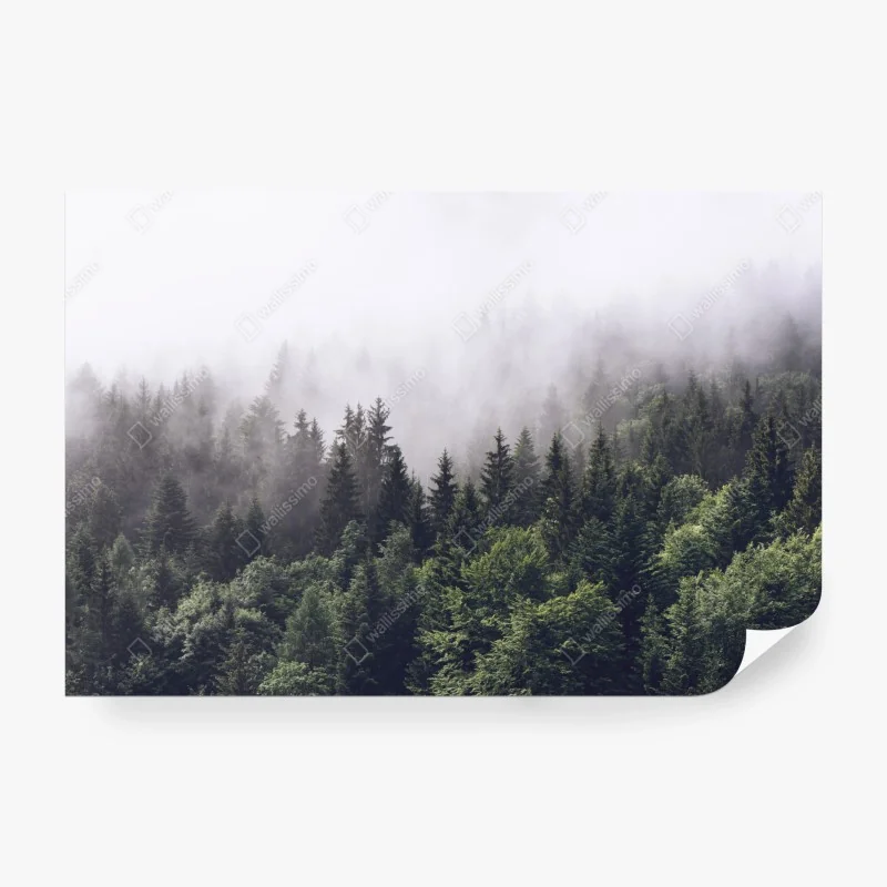 Fototapeta Wieża Tokijska o zmierzchu nad panoramą Tokio – Wallissimo®