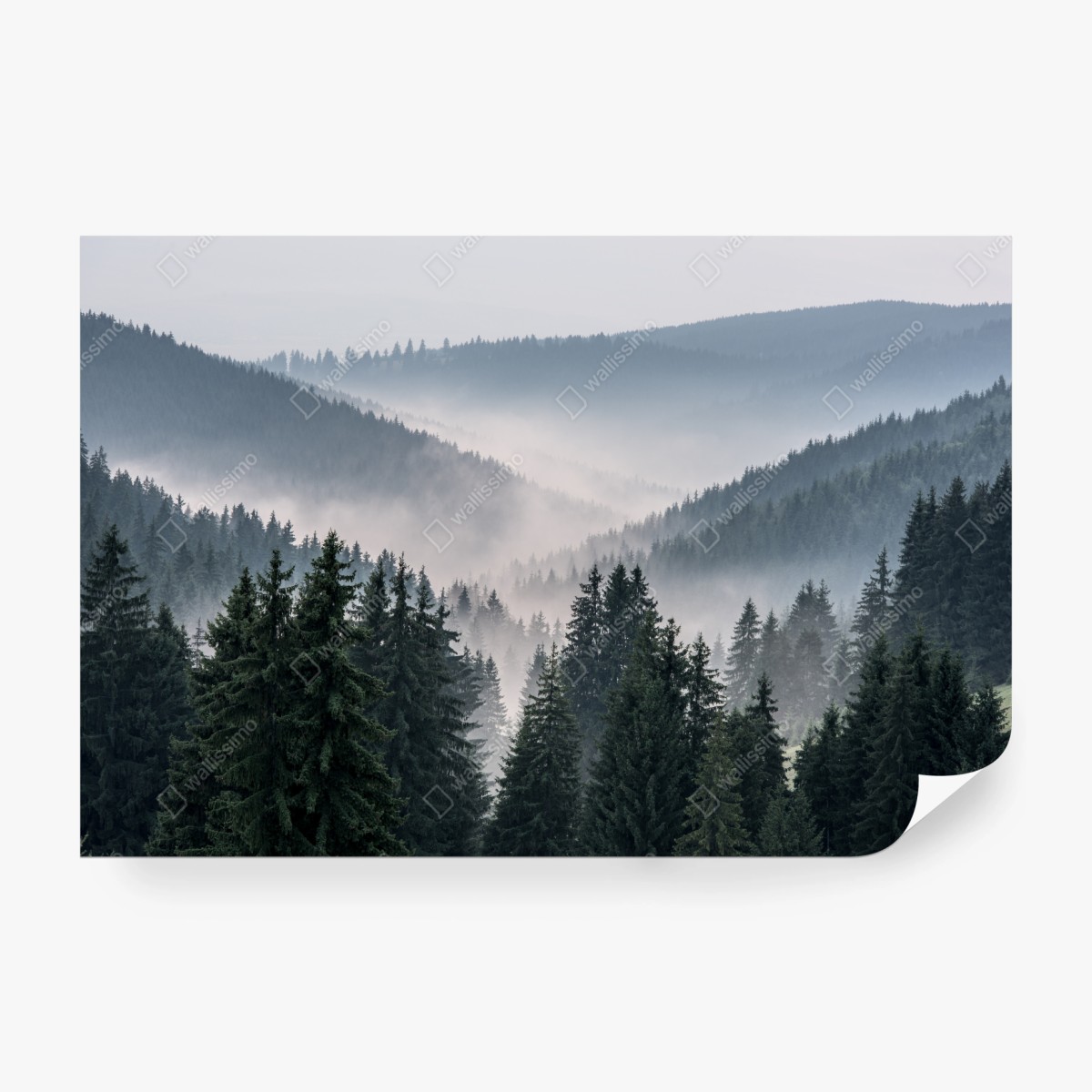 Fototapeta mglisty górski las – Wallissimo® Fototapeta mglisty górski las – Wallissimo®