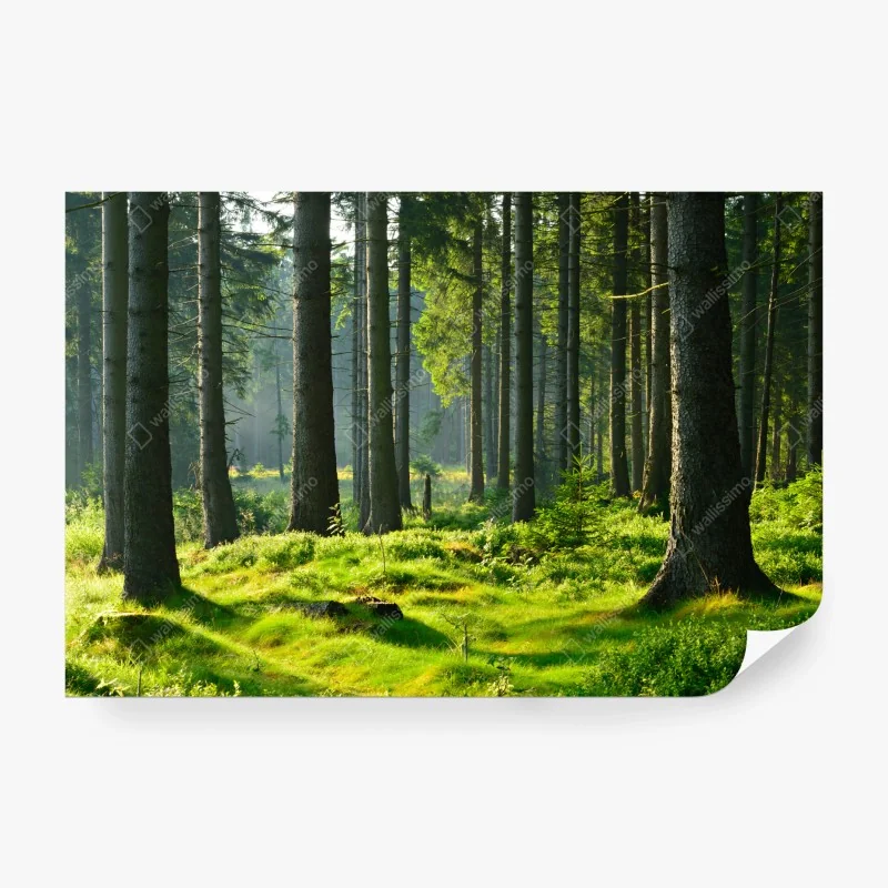 Fototapeta poranek nad jeziorem Fusine z Mangartem – Wallissimo®