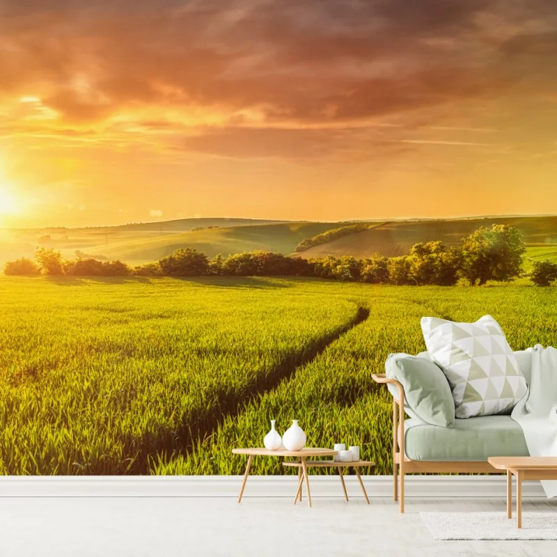 Fototapeta słoneczna łąka o zachodzie słońca – Wallissimo® Fototapeta słoneczna łąka o zachodzie słońca – Wallissimo®