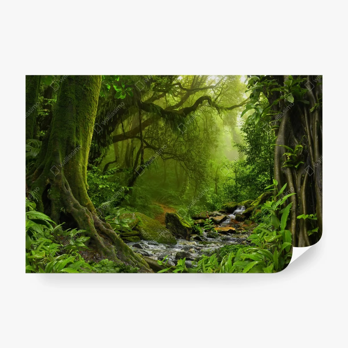 Fototapeta zaczarowany zielony leśny strumień – Wallissimo® Fototapeta zaczarowany zielony leśny strumień – Wallissimo®