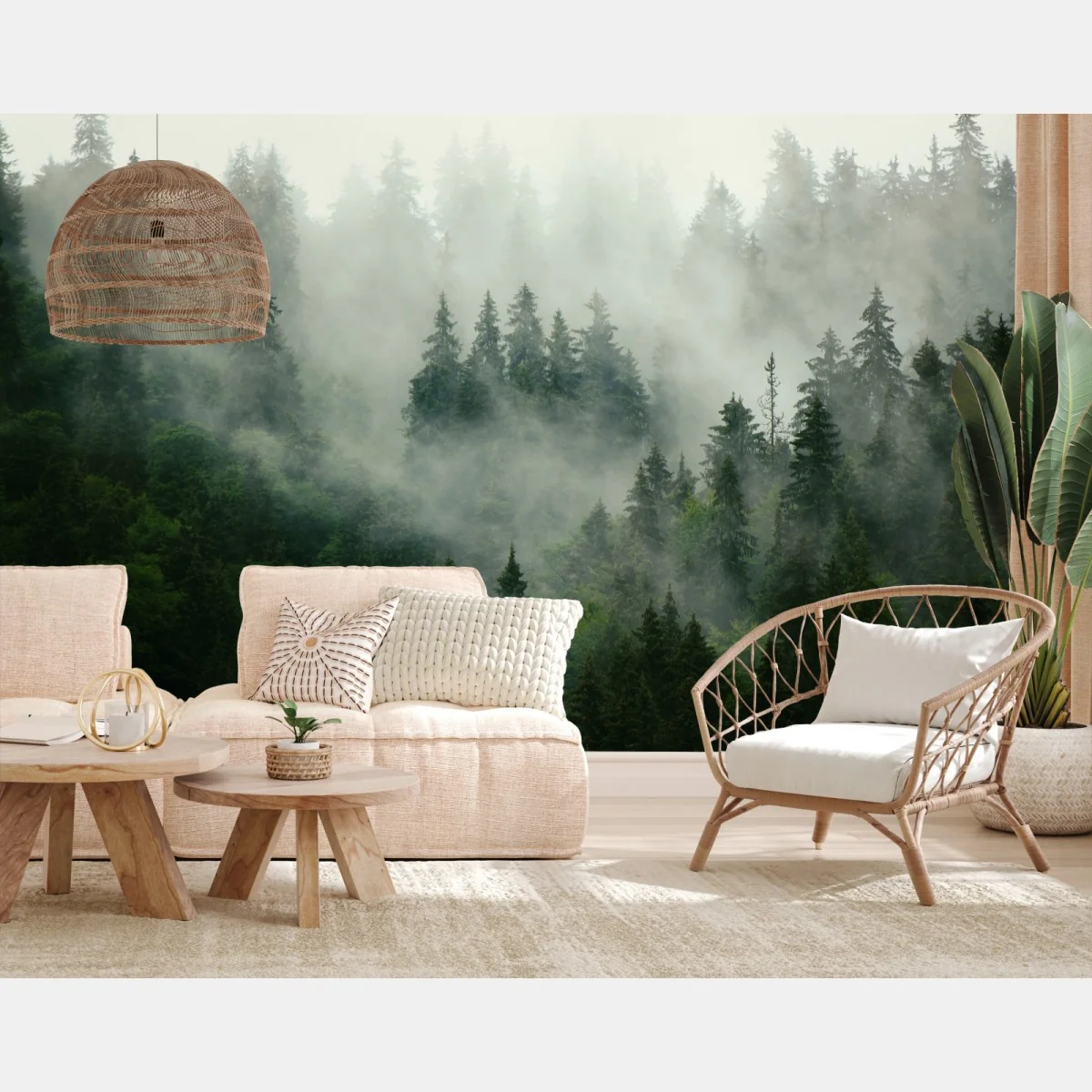 Fototapeta mglisty iglasty las – Wallissimo® Fototapeta mglisty iglasty las – Wallissimo®