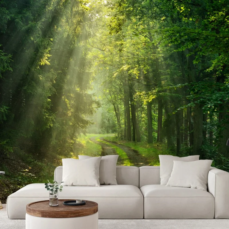 Fototapeta słoneczna ścieżka w lesie – Wallissimo® Fototapeta słoneczna ścieżka w lesie – Wallissimo®