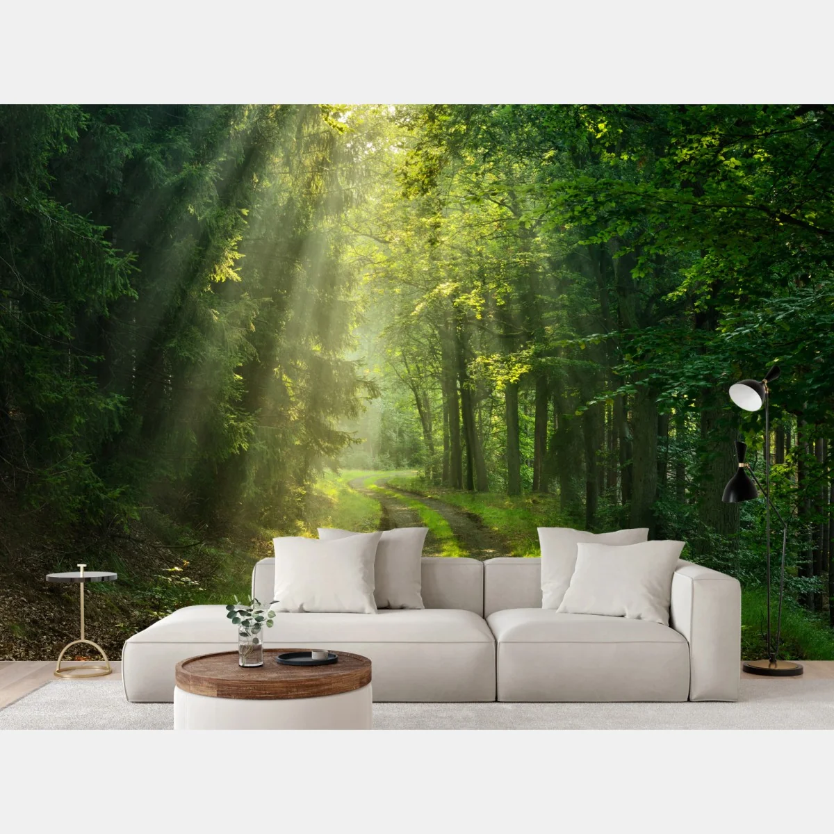 Fototapeta słoneczna ścieżka w lesie – Wallissimo® Fototapeta słoneczna ścieżka w lesie – Wallissimo®