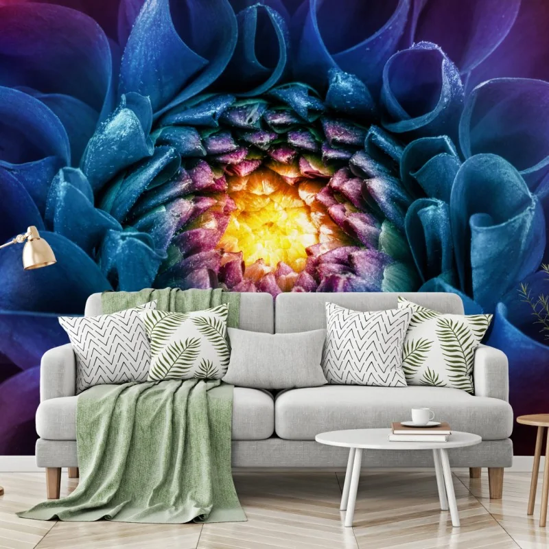 Fototapeta intensywna niebieska chryzantema z bliska – Wallissimo®