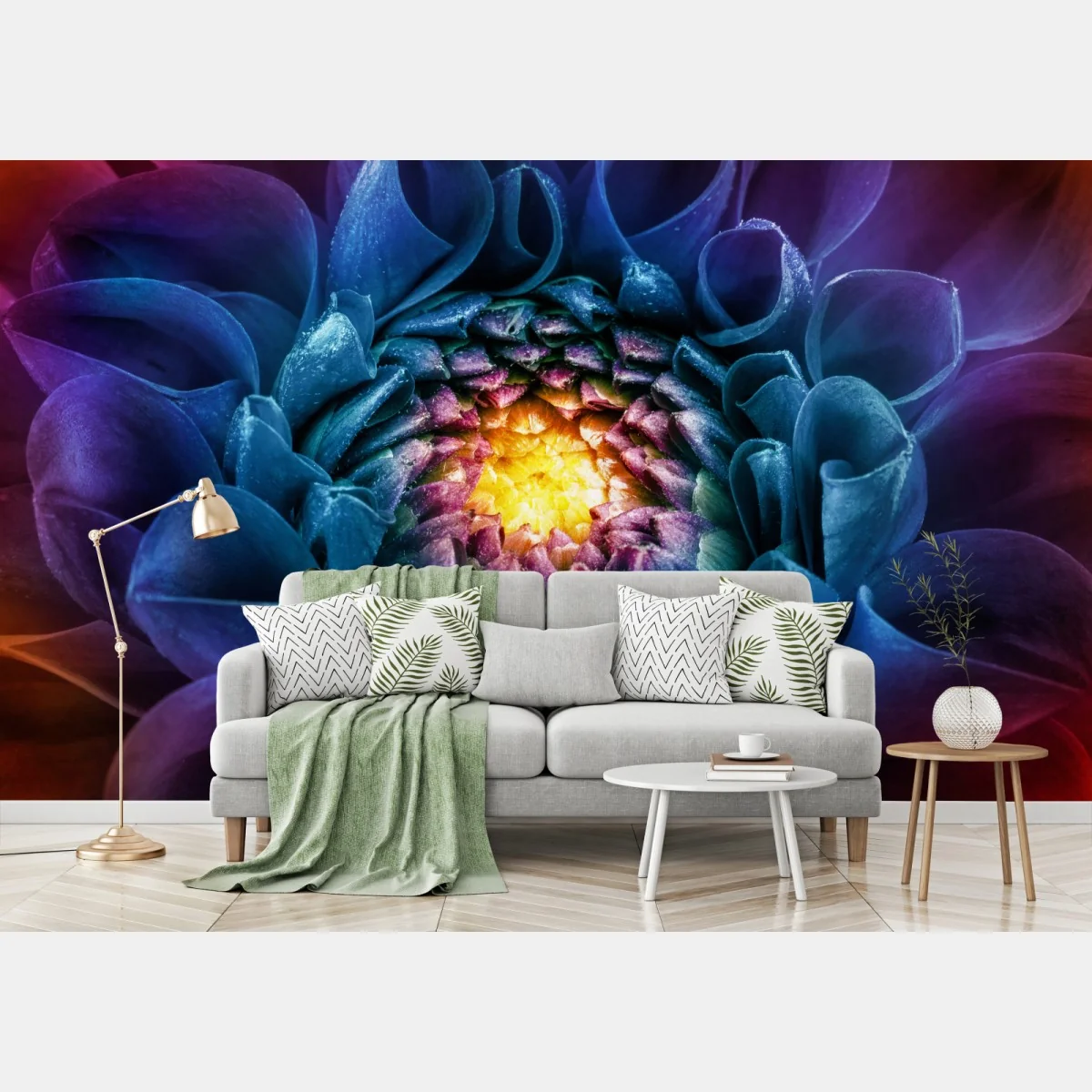 Fototapeta intensywna niebieska chryzantema z bliska – Wallissimo®