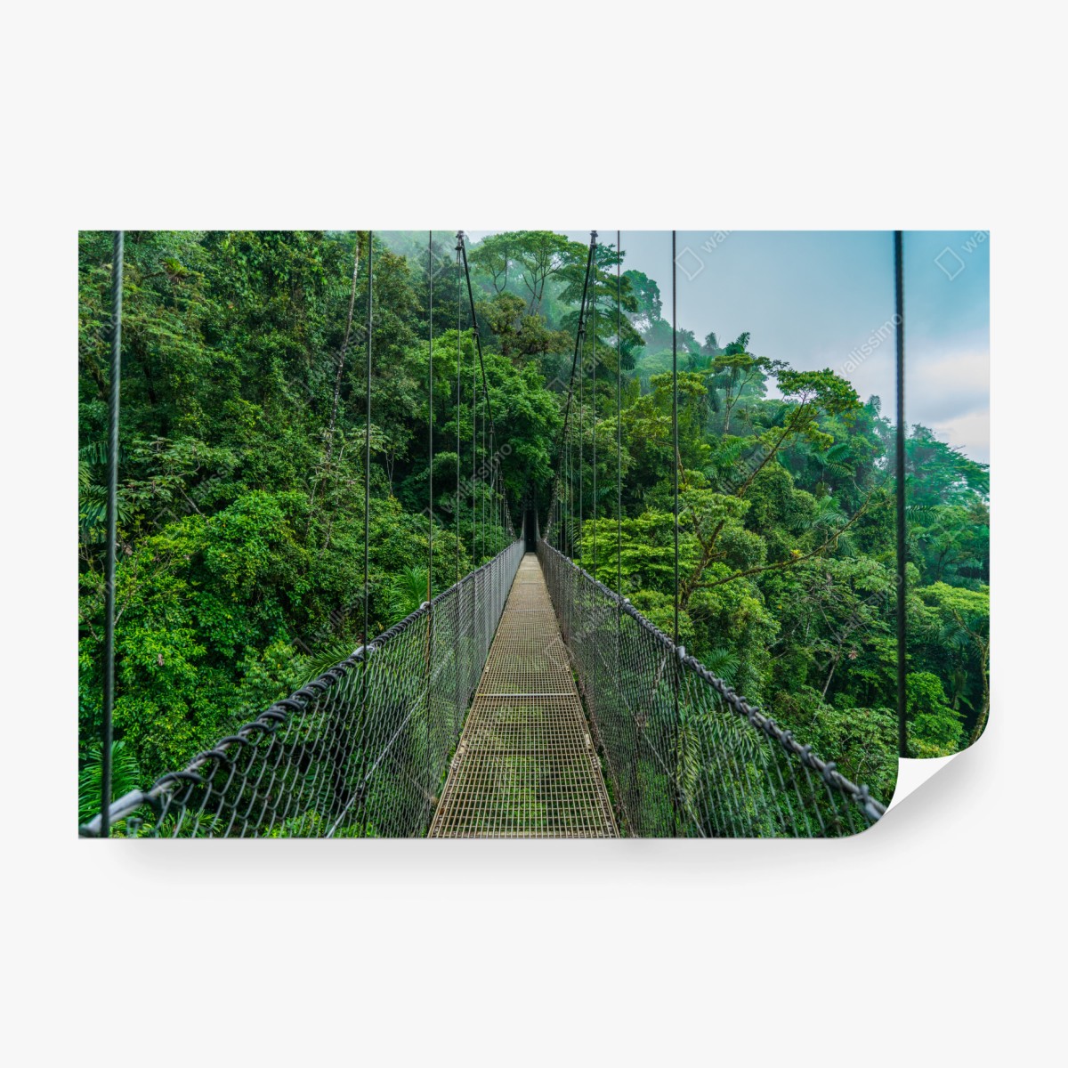 Fototapeta wiszący most w bujnej dżungli – Wallissimo® Fototapeta wiszący most w bujnej dżungli – Wallissimo®