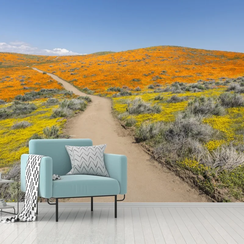 Fototapeta ścieżka przez makowy super bloom w Południowej Kalifornii – Wallissimo® Fototapeta ścieżka przez makowy super bloom w Południowej Kalifornii – Wallissimo®