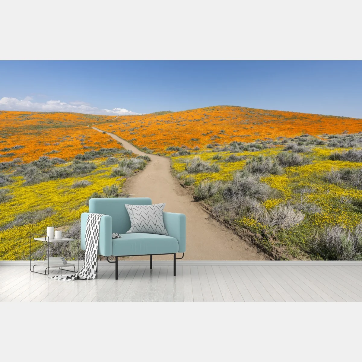 Fototapeta ścieżka przez makowy super bloom w Południowej Kalifornii – Wallissimo® Fototapeta ścieżka przez makowy super bloom w Południowej Kalifornii – Wallissimo®