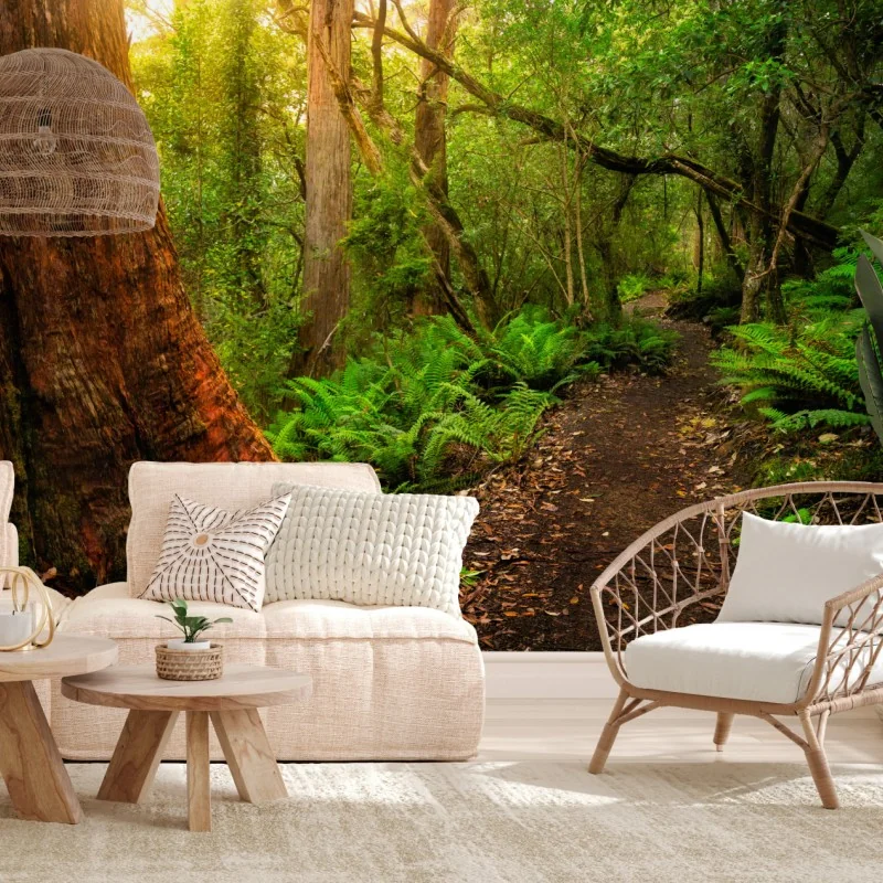 Fototapeta starożytny las deszczowy w Tasmanii – Wallissimo® Fototapeta starożytny las deszczowy w Tasmanii – Wallissimo®