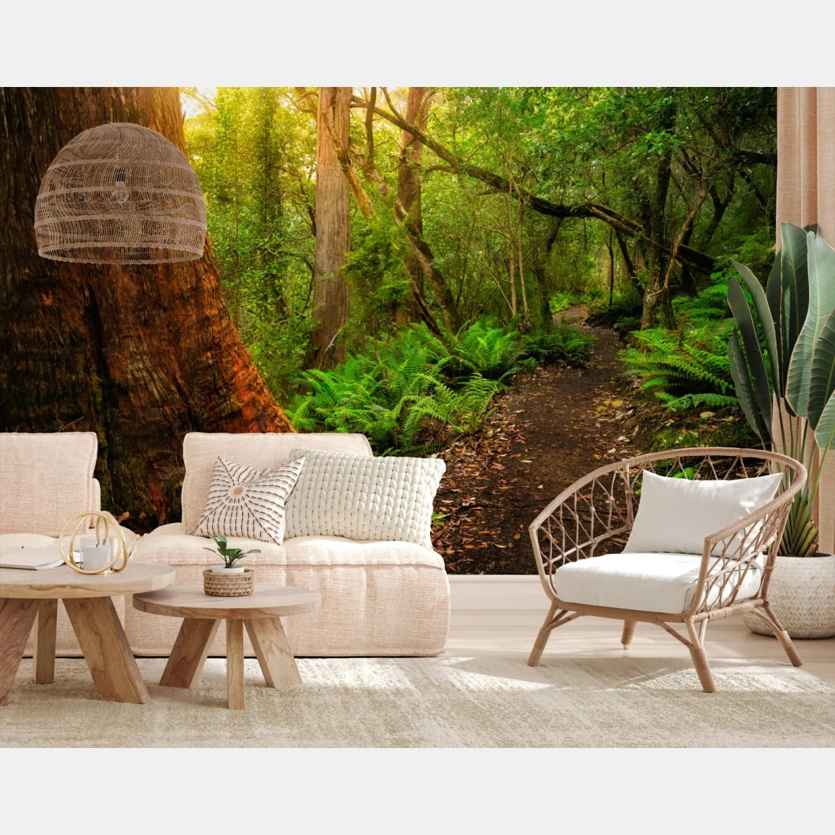 Fototapeta starożytny las deszczowy w Tasmanii – Wallissimo® Fototapeta starożytny las deszczowy w Tasmanii – Wallissimo®