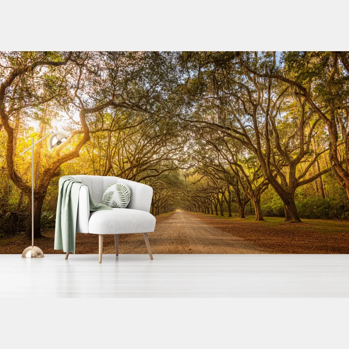 Fototapeta słoneczna aleja starych dębów przy Savannah – Wallissimo® Fototapeta słoneczna aleja starych dębów przy Savannah – Wallissimo®