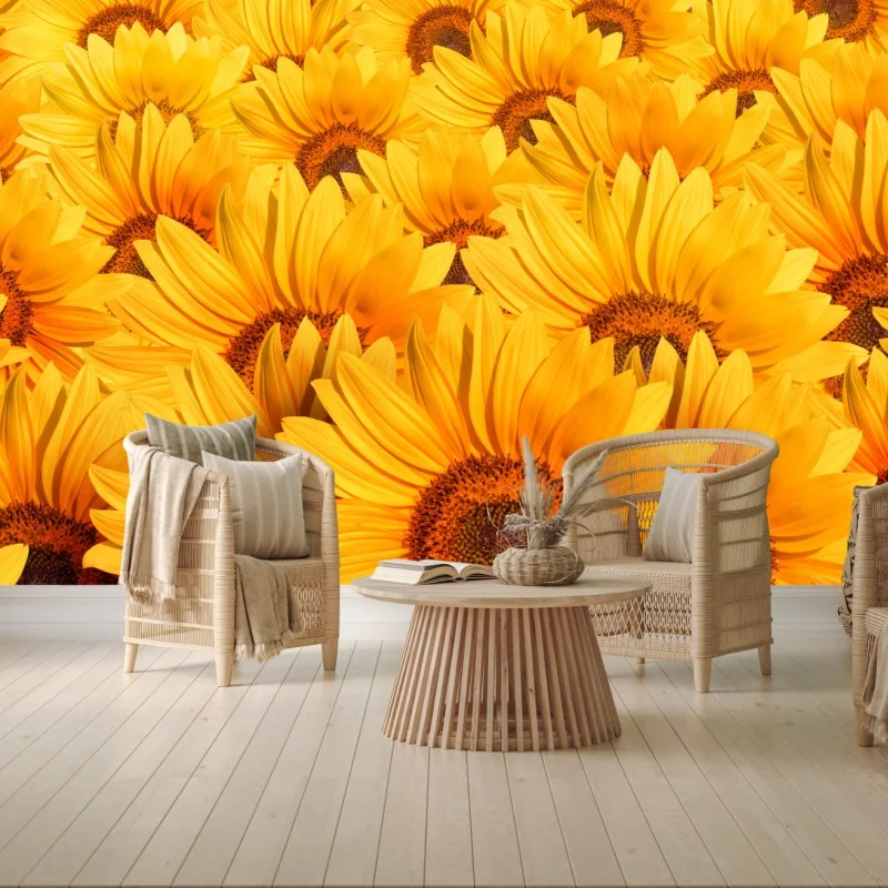 Fototapeta złote pole słoneczników – Wallissimo® Fototapeta złote pole słoneczników – Wallissimo®