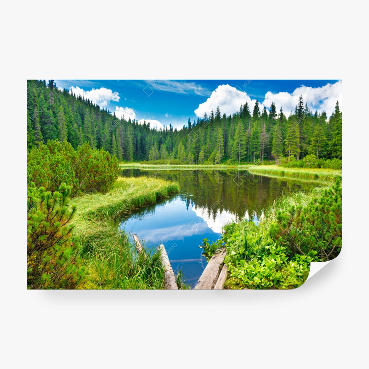 Fototapeta spokojne jezioro leśne z drewnianym mostem – Wallissimo® Fototapeta spokojne jezioro leśne z drewnianym mostem – Wallissimo®